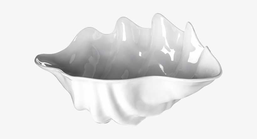 Carlisle Buffet Clam Shell - Conch, transparent png download