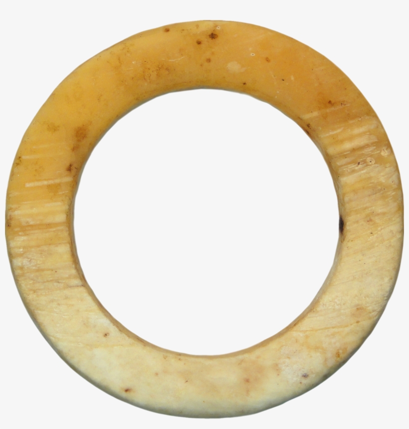 Melanesia, Western Solomon Islands, Bakia Clam Shell - Circle PNG Image ...