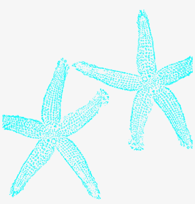 Hatenylo Com Clip Art Panda Free Images - Fish Clip Art, transparent png download