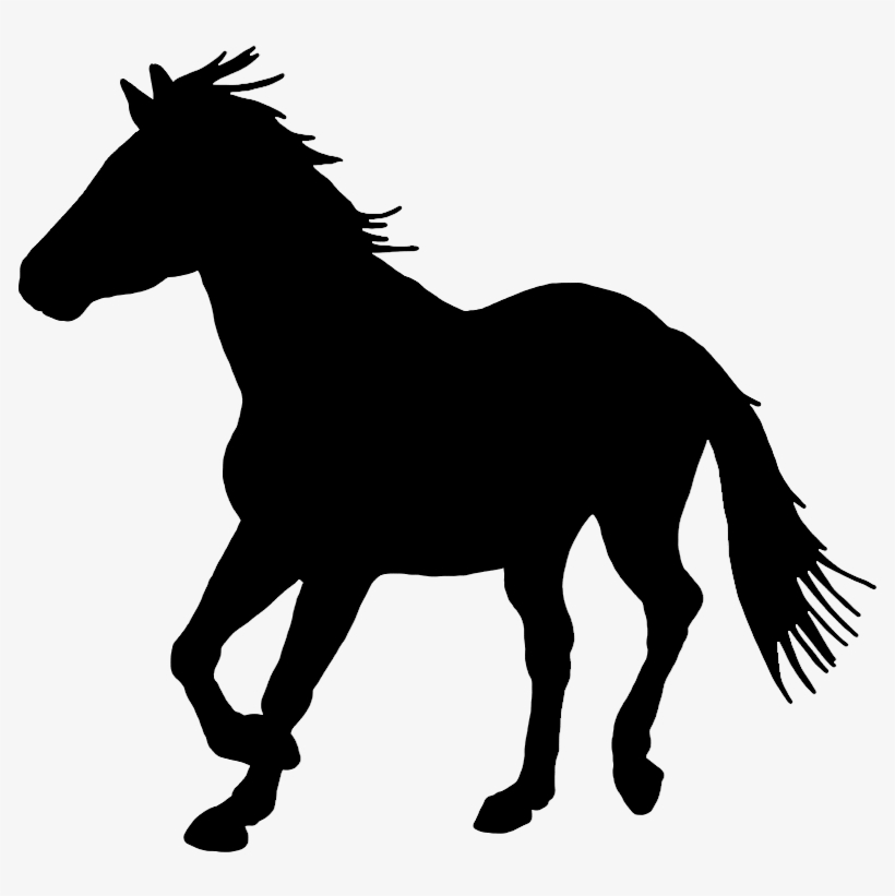 Black Silhouette Of Horse - Clipart Kudu, transparent png download
