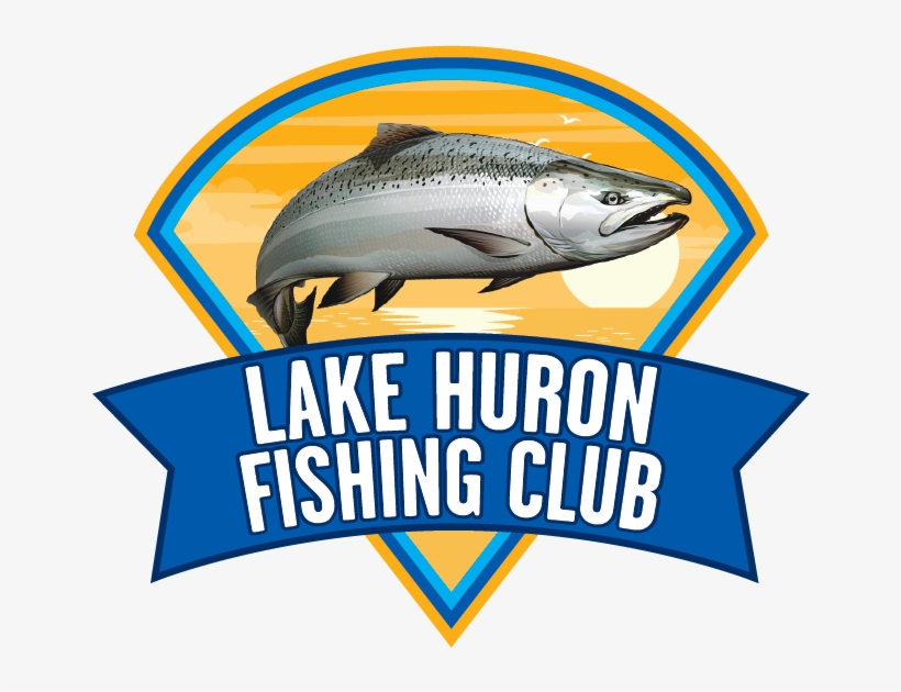 Salmon, transparent png download