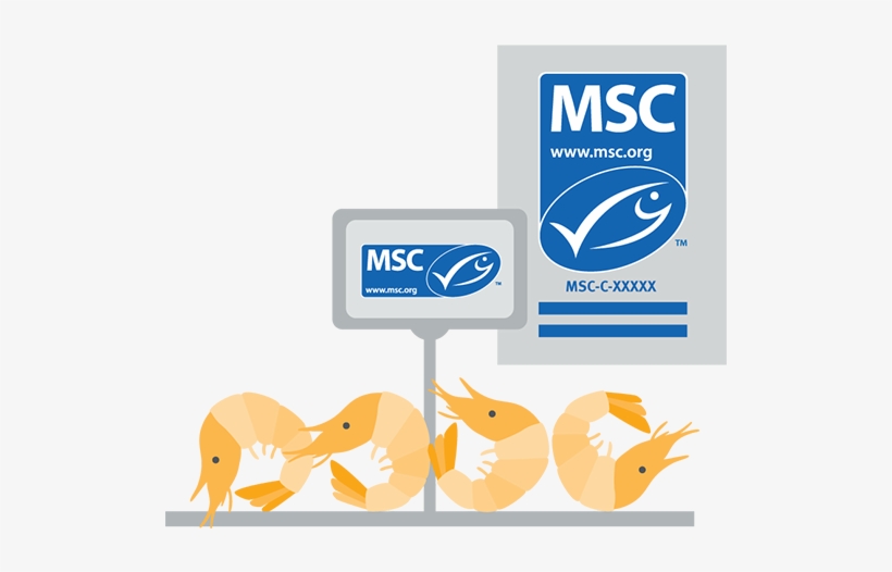 Fresh Fish Counters Labelling With Poster - Marine Stewardship Council, transparent png download