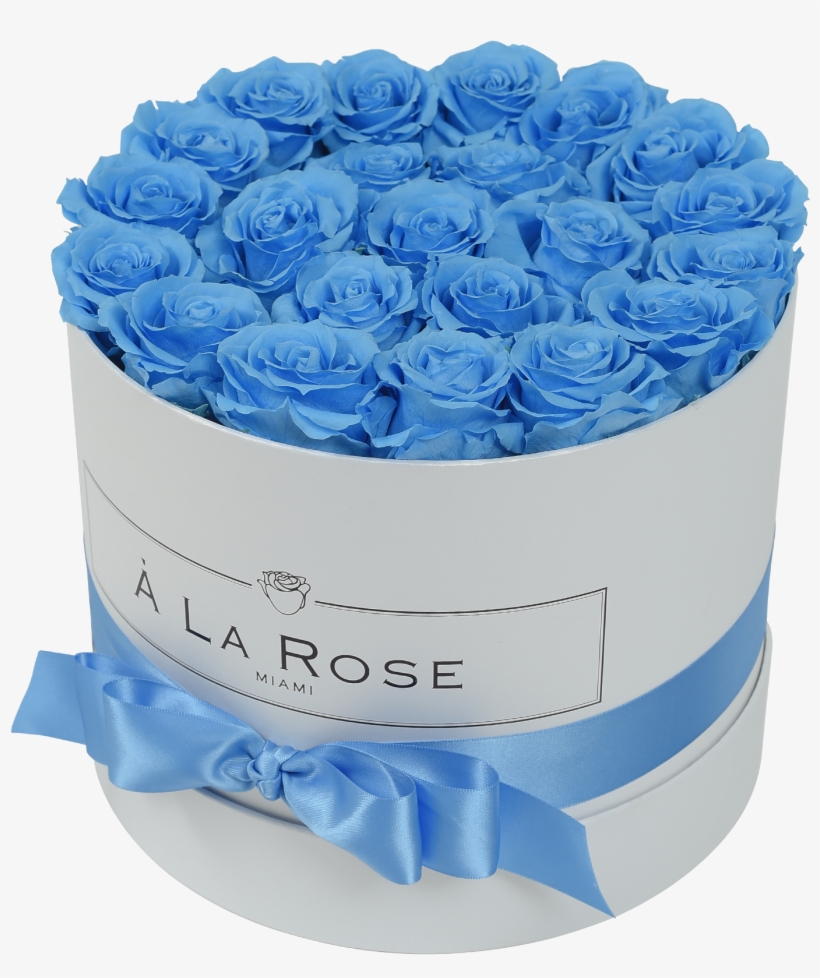 Orbdeluxe- Baby Blue Roses - Hydrangea, transparent png download