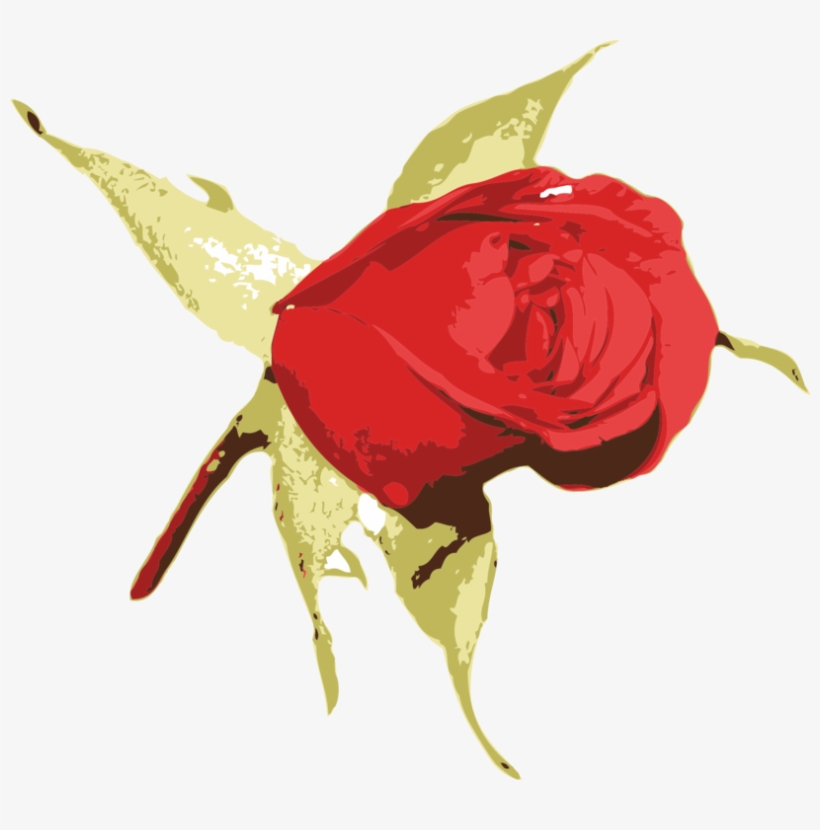 Garden Roses Blue Rose Flower - Clip Art, transparent png download