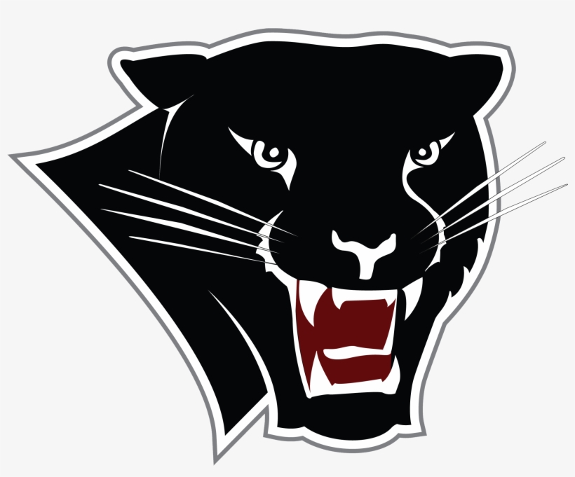 Panther Logo Head Only Web - Florida Tech Panthers Soccer, transparent png download
