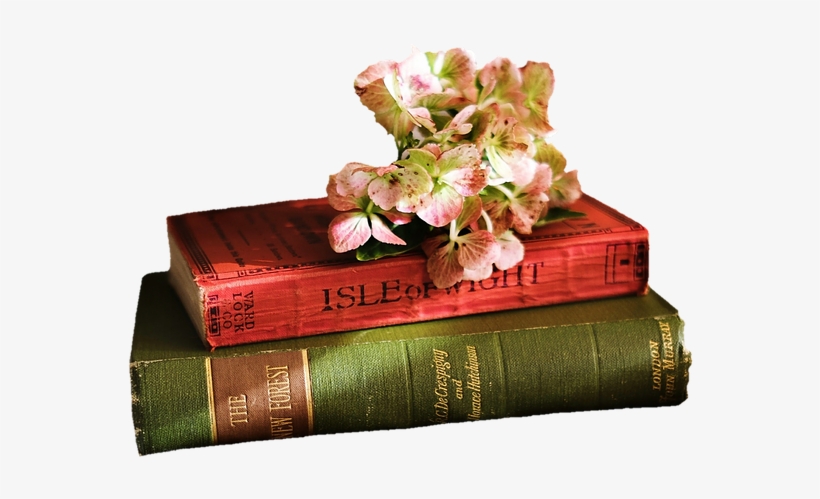 Books, Read, Literature, Pitched, Old Books, Deco - Book Flower Wallpaper Iphone, transparent png download