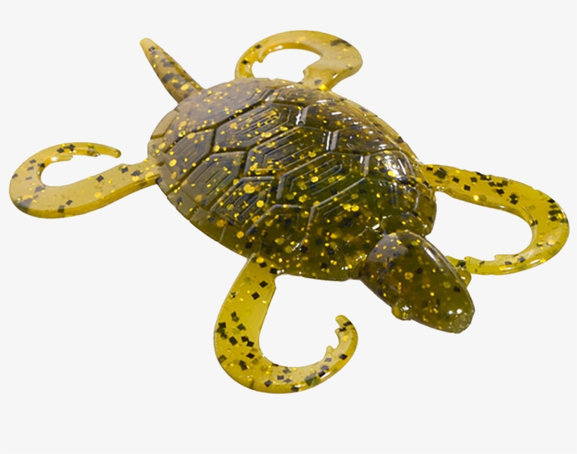 Pumpkin - Hawksbill Sea Turtle, transparent png download