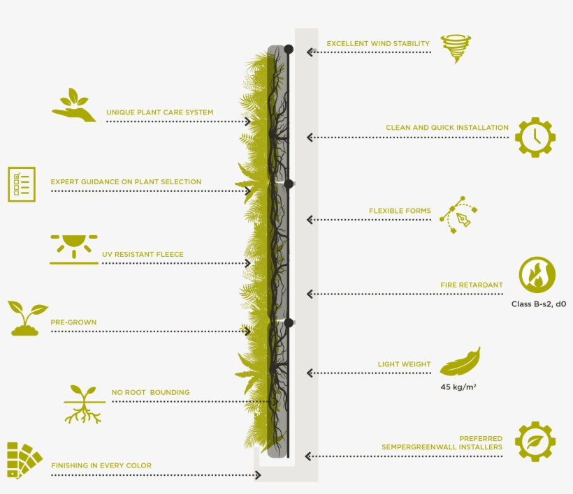 Sempergreen Living Wall Is No More Than 45 Kg Per Square - Outdoor Sempergreenwall, transparent png download