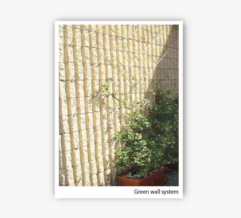 Green Wall-8 - Architecture, transparent png download