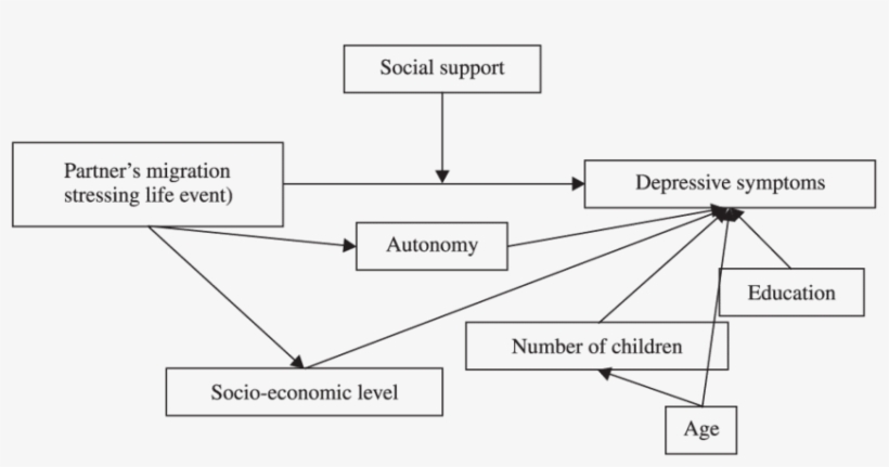 Conceptual Framework Based Upon Brown & Harris, - Diagram, transparent png download