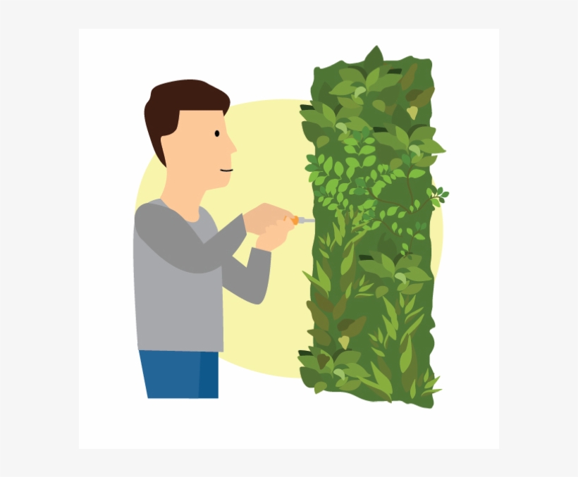 Gyprock/plasterboard Our Preference Is To Screw Directly - Illustration, transparent png download