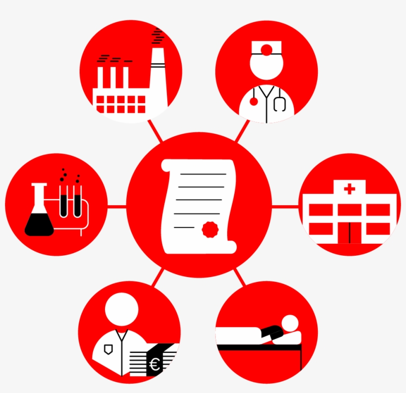 With This Work Method, The Foundation Is Changing The - Circle, transparent png download