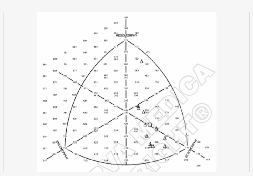 Somatotype Distribution Of Top-class Kenyan Marathon - Heath Carter, transparent png download