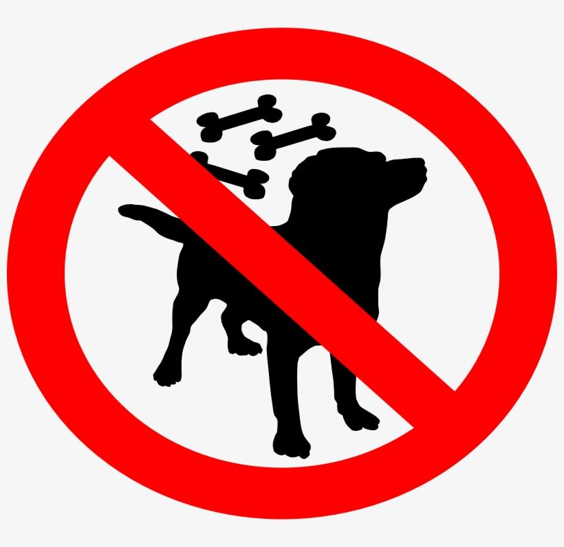 No Feeding The Dogs - No Feed Cat Sign, transparent png download