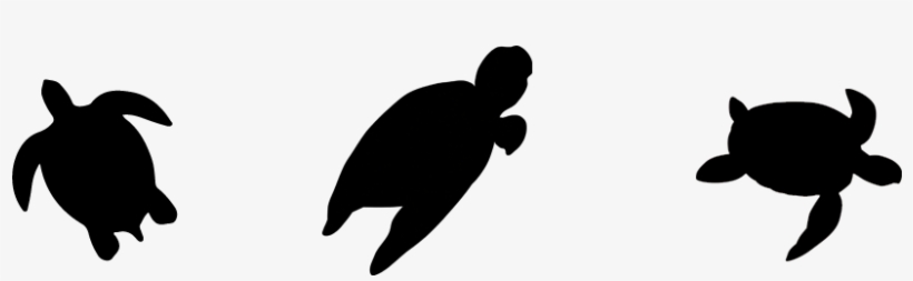 Save The Sea Turtles - Green Sea Turtle, transparent png download