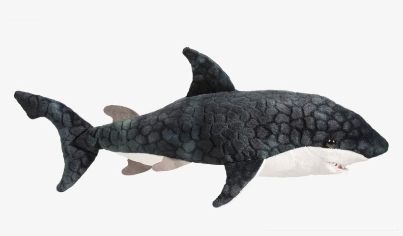 Neptune Blue Shark - Shark, transparent png download