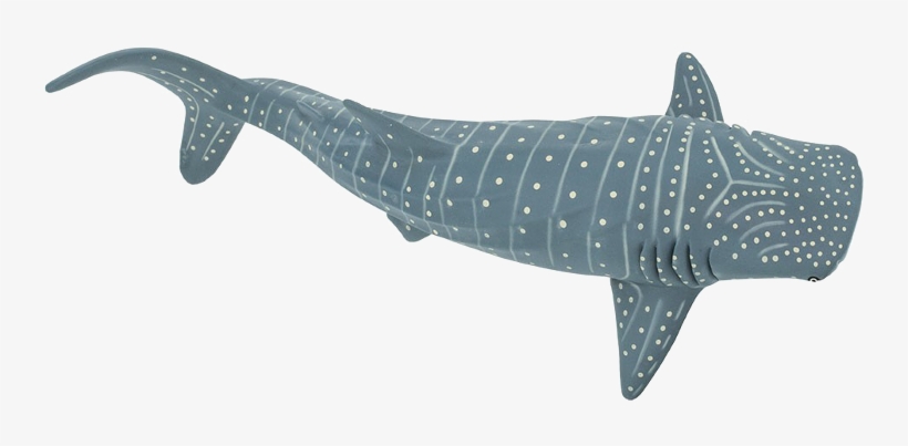 Buy Action Figure Safari Whale Shark 210602 Elkor - Shark, transparent png download