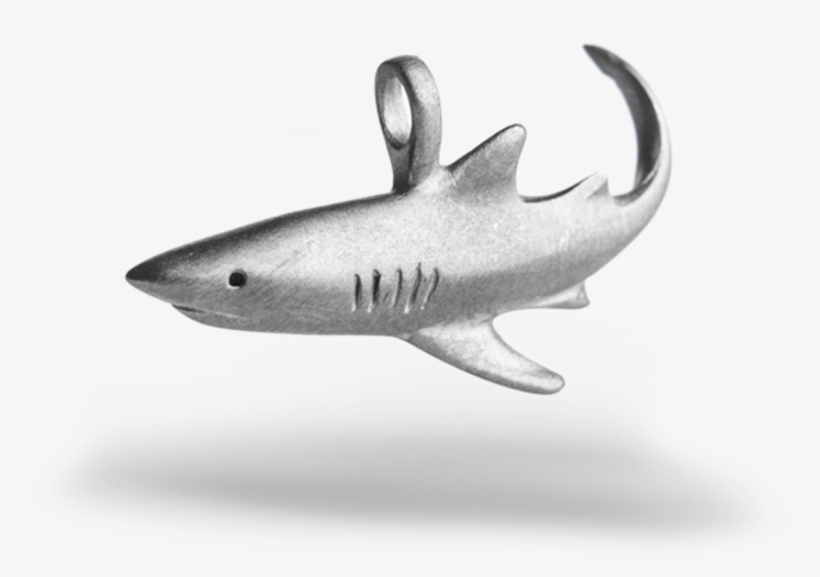 Tiger Shark, transparent png download