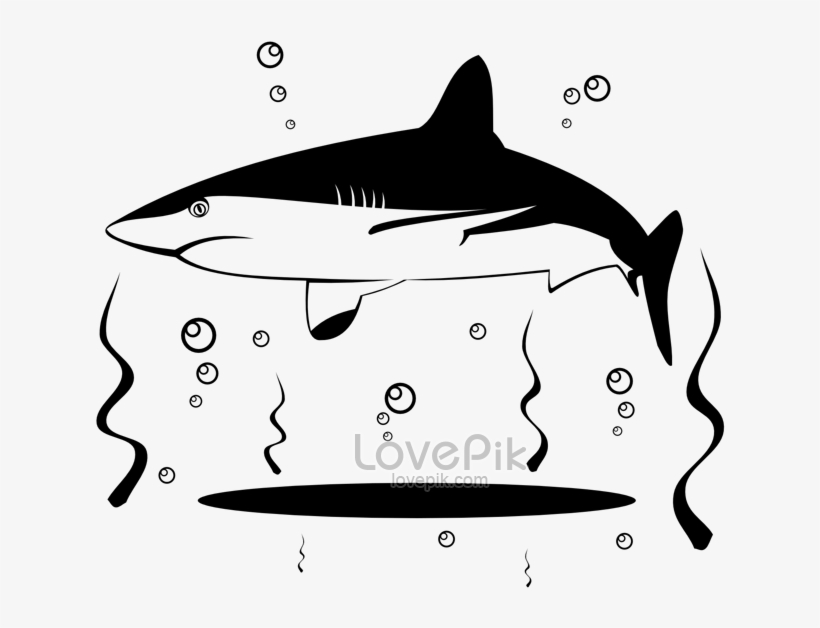 848 X 1200 1 - Shark, transparent png download