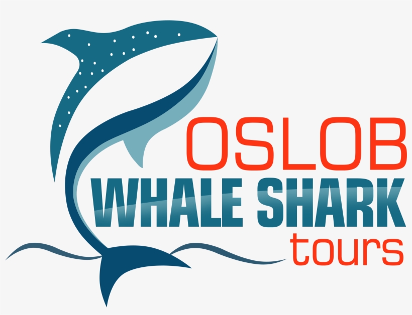 Welcome To Oslob Whaleshark Tours - Graphic Design, transparent png download