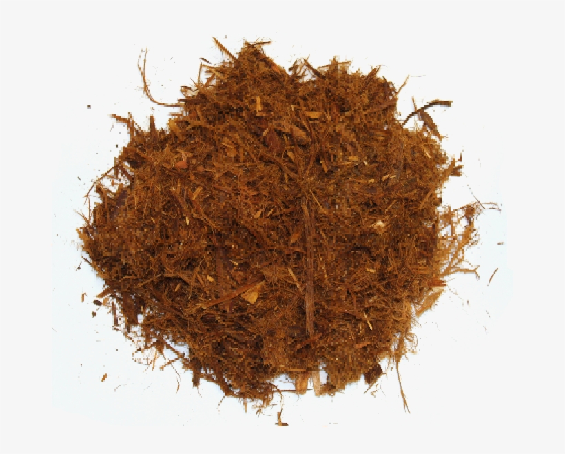 Cedar - Rooibos, transparent png download