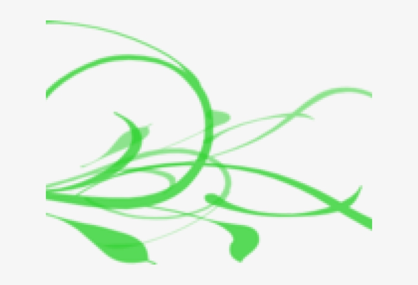 Swirly Branch Cliparts - Clip Art, transparent png download