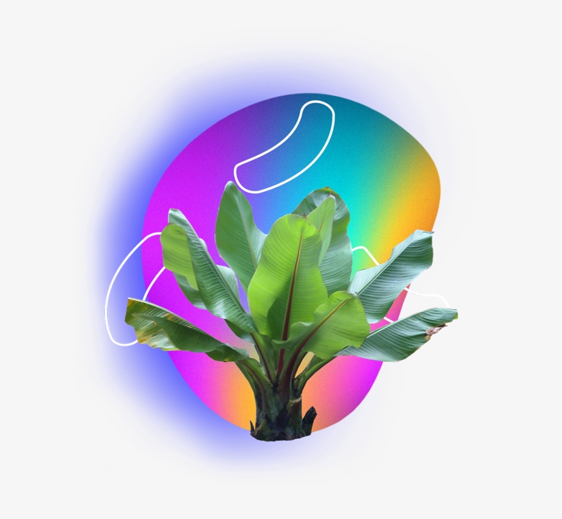 Gradient Net Art Cyberpunk Vaporwave Art Vaporwave - Illustration, transparent png download