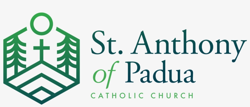 Email Signature Logo - St Aidan's Christian School, transparent png download