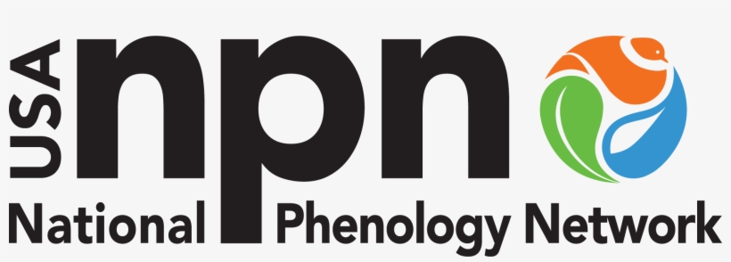 Tiff - Graphic Design, transparent png download