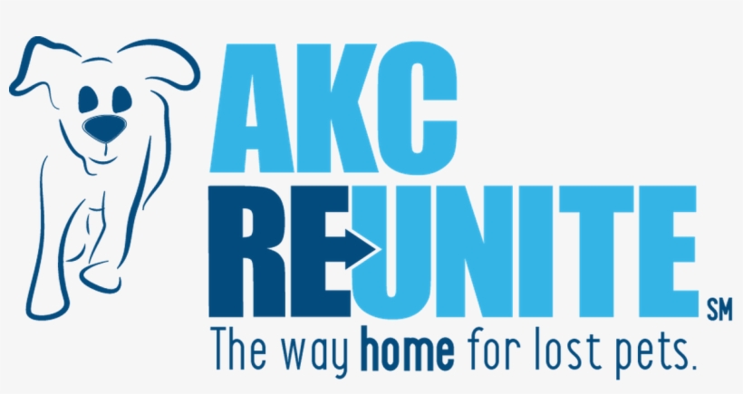 See Some Of The Brands We Carry - Two Blue Color Logo, transparent png download