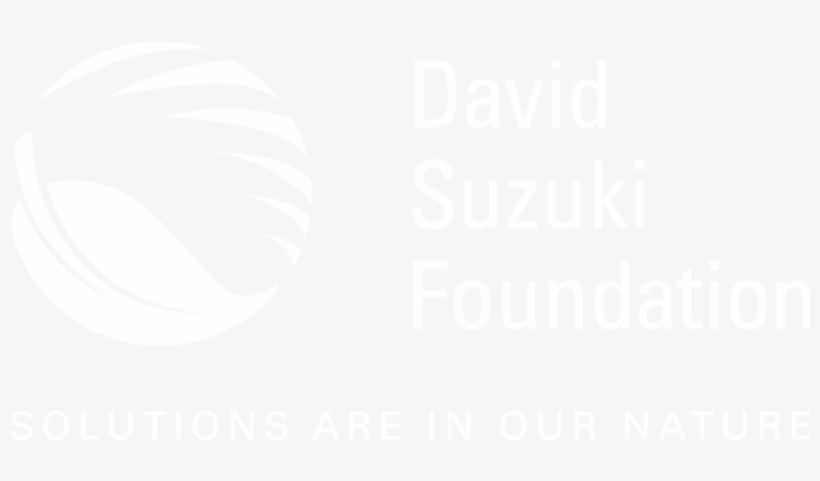 David Suzuki Foundation Logo, transparent png download