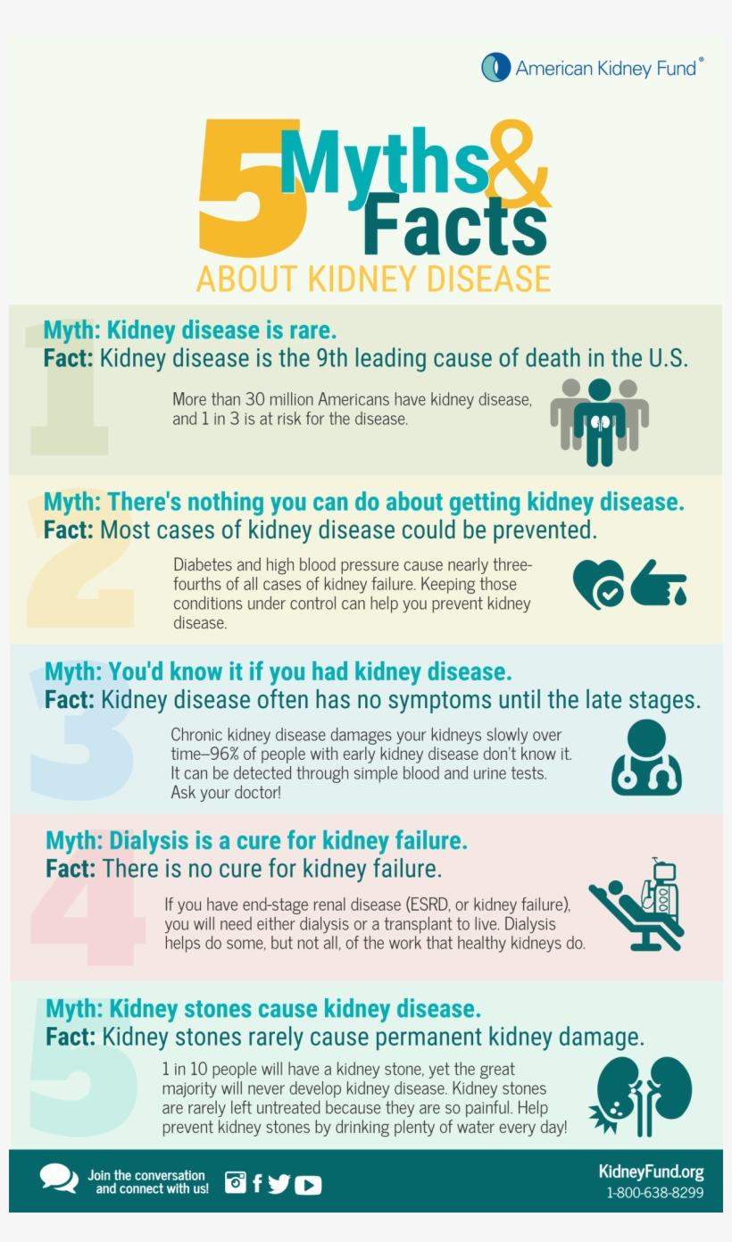American Kidney Fundverified Account - Colorfulness, transparent png download
