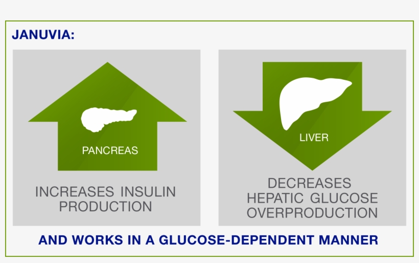 Mechanism Of Action For Januvia® Sitagliptin Moa PNG Image Transparent PNG Free Download on