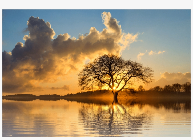 Kreativehexenkueche - Lone Tree, transparent png download