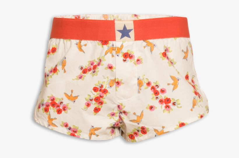 8137 - Board Short, transparent png download