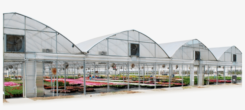 Greenhouse Png - Gutter Connected Greenhouse, transparent png download