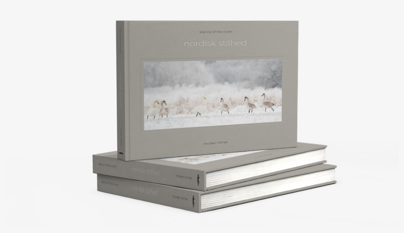 Silence Of The North By Morten Hilmer - Chest Of Drawers, transparent png download