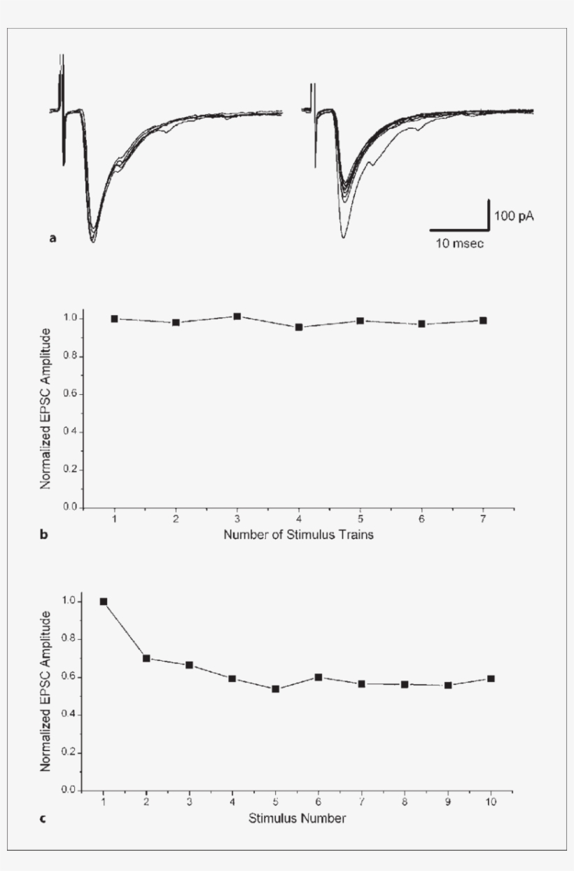 A -fiber Synaptic Responses Evoked In A Dh Neuron By - Diagram, transparent png download