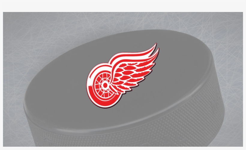 Bertuzzi's Late Goal Powers Red Wings Over Blue Jackets - Circle, transparent png download