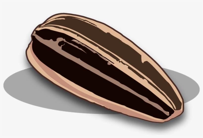 Sunflower Seeds Png Images Free Download - Sunflower Seed Clipart, transparent png download
