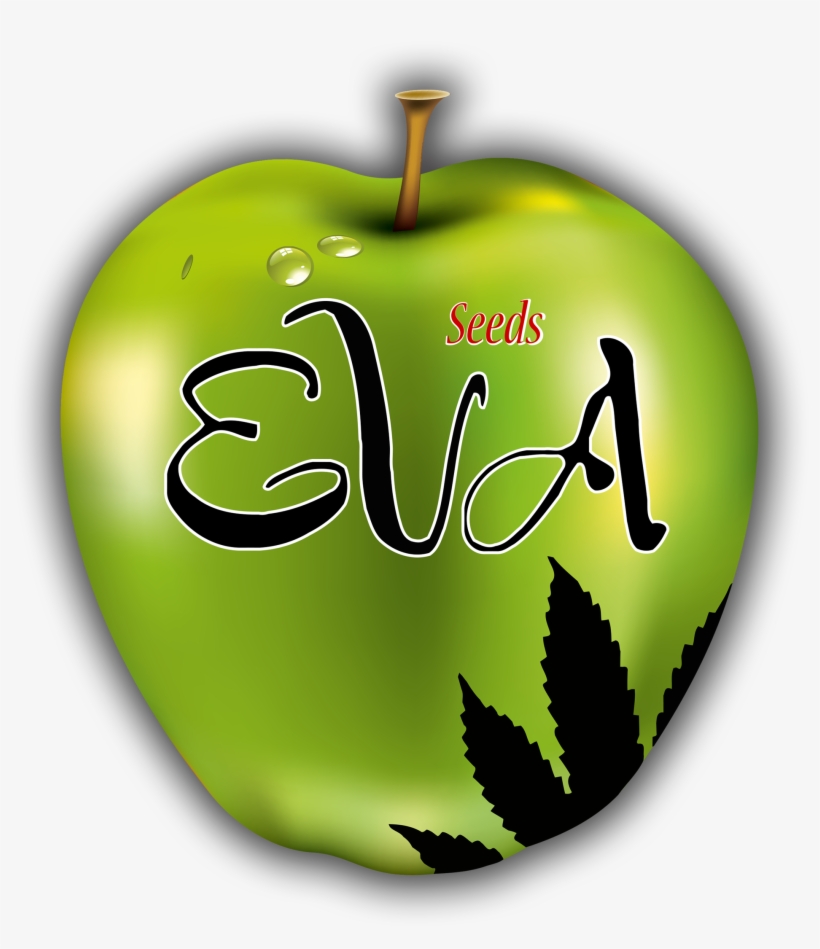 Eva Seeds, transparent png download