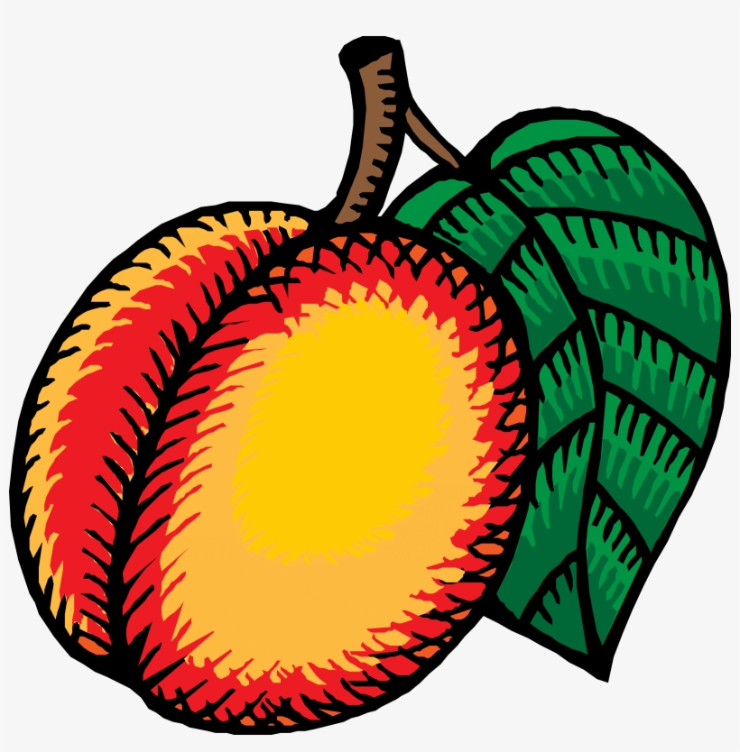 Avacado Tree Cliparts - Nectarines Clipart, transparent png download