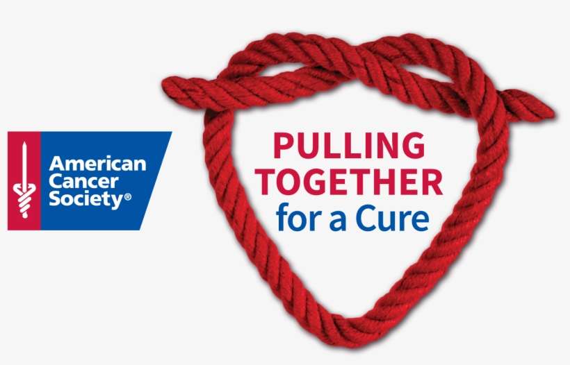 Voice Of Hope Singing Competition With The American - Heart, transparent png download