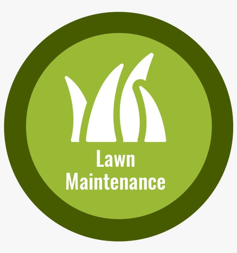 Bring Your Yard Back To Life - Wagamamas, transparent png download