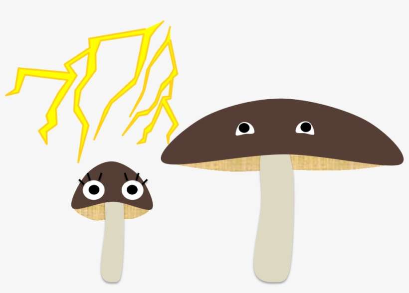 雷キノコ 2 - Shiitake, transparent png download