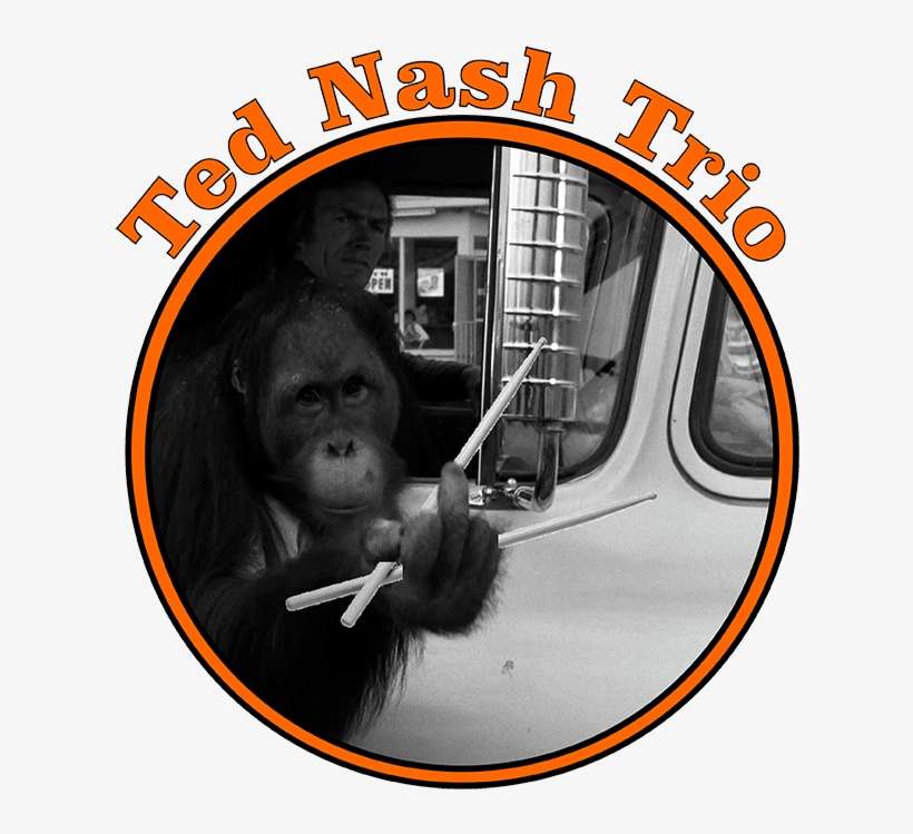 Tnt Logo Interim Bare - Clint Eastwood & Clyde, transparent png download