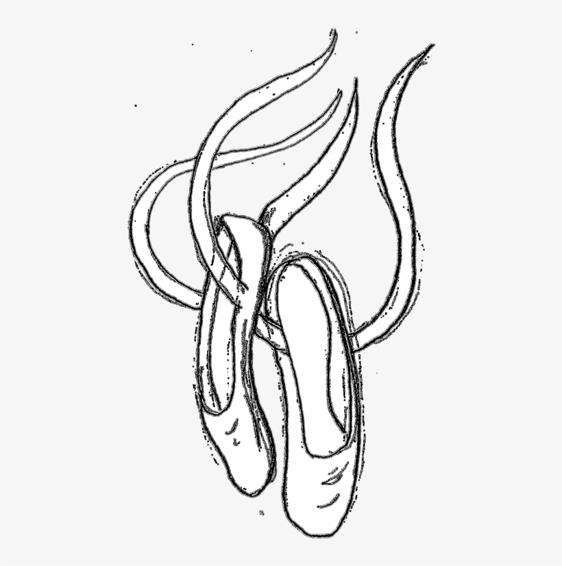 A Perfect World - Ballet Shoes Transparent Clipart, transparent png download