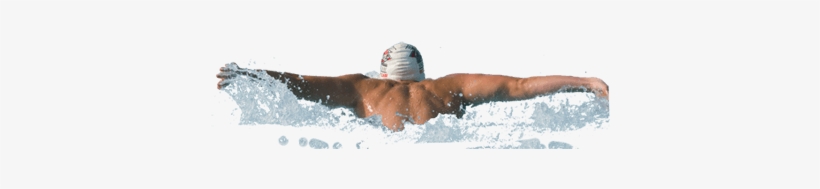 Back Png Stickpng Banner Stock - Swimming Png, transparent png download