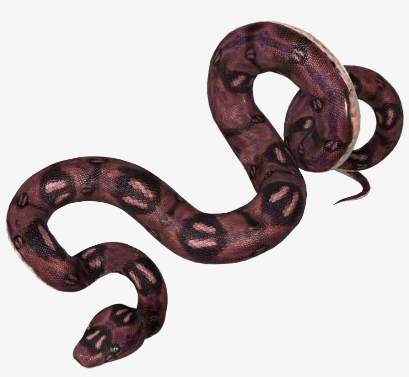 Stock Photography, transparent png download