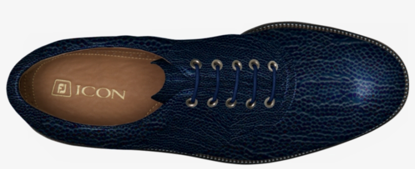 A Couple Printed Base Colors = So This Shoes Are Now - Ballet Flat, transparent png download